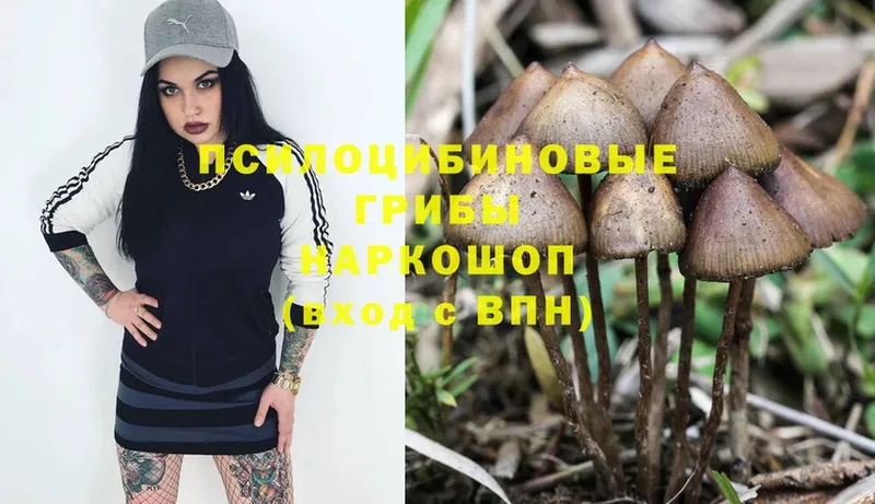 Псилоцибиновые грибы Magic Shrooms  где продают   Нижний Ломов 